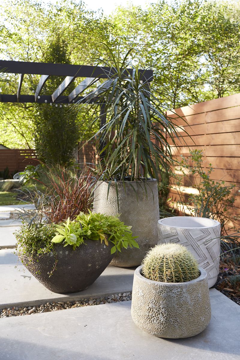 Transform Your Space: A Comprehensive Guide to Accent Decor Planters