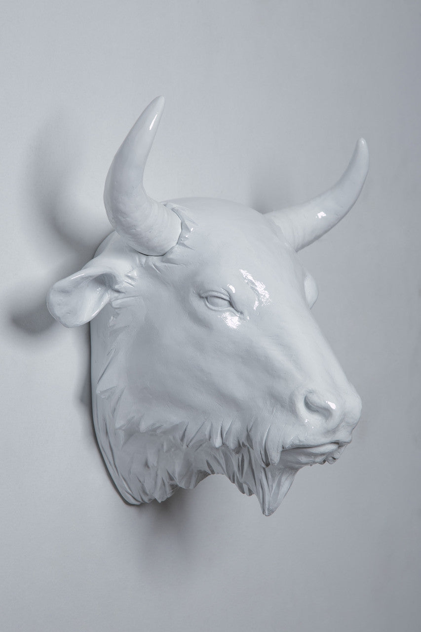 Trophy Heads of Animal & Animals Wall Sculptures – Modish Store