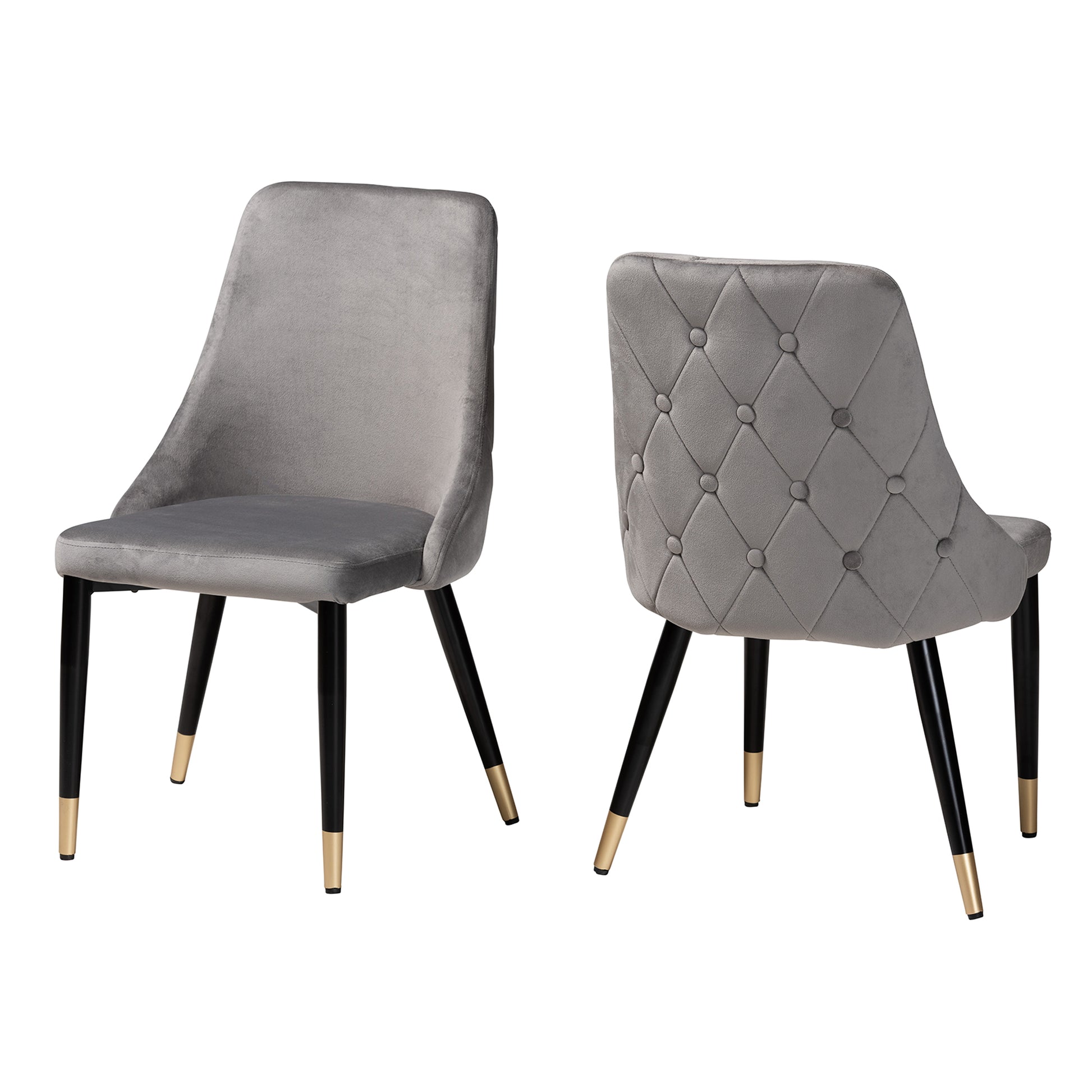 Baxton Studio Giada Contemporary Glam and Luxe Grey Velvet Fabric and Dark Brown Finished Wood 2-Piece Dining Chair Set | Dining Chairs | Modishstore - 4