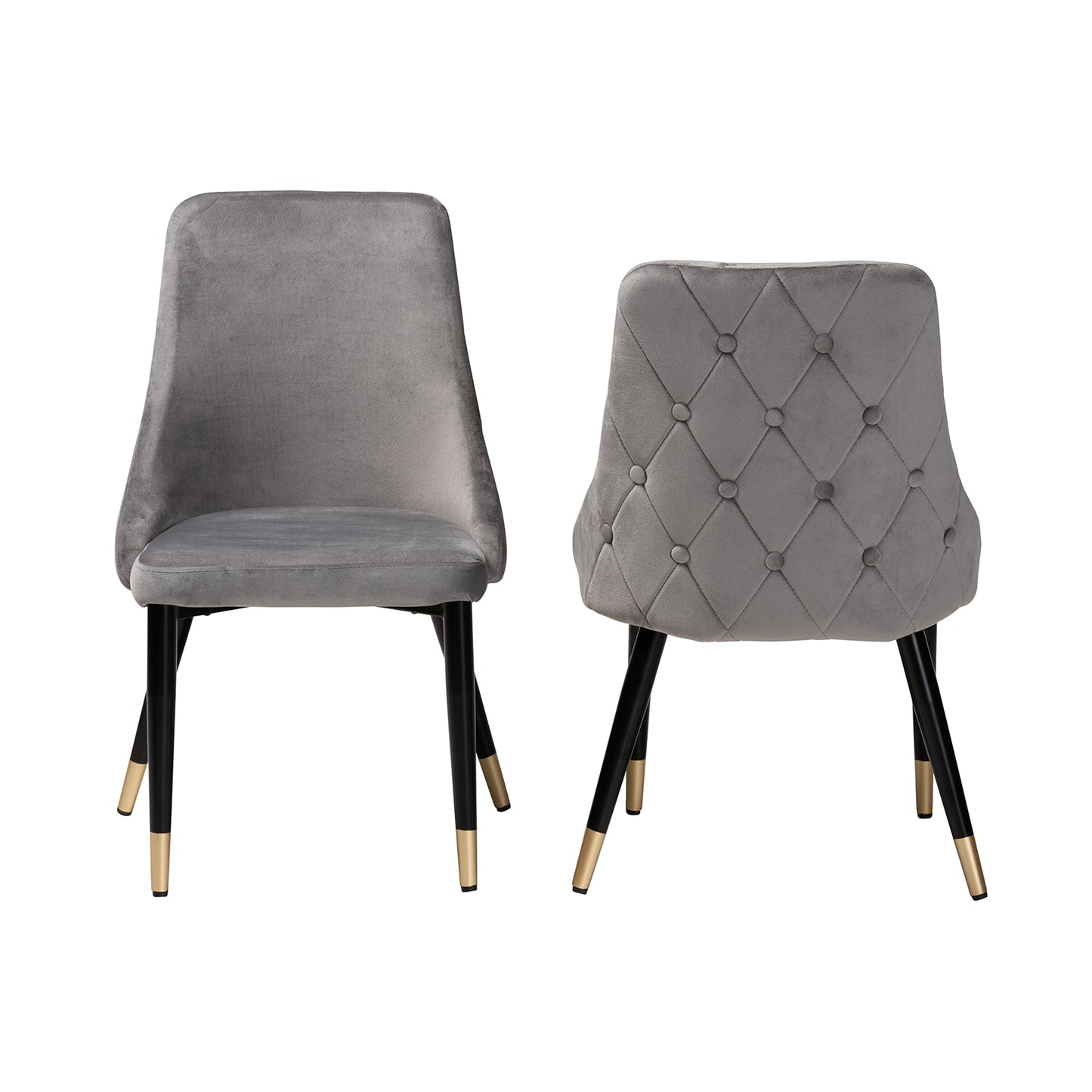 Baxton Studio Giada Contemporary Glam and Luxe Grey Velvet Fabric and Dark Brown Finished Wood 2-Piece Dining Chair Set | Dining Chairs | Modishstore - 5