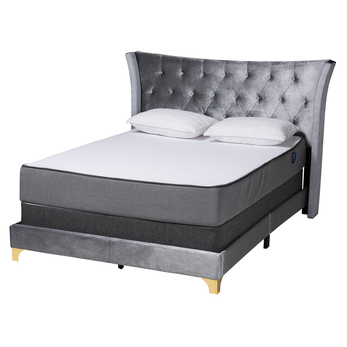 Baxton Studio Easton Contemporary Glam and Luxe Black Velvet and Gold Metal Queen Size Panel Bed | Beds | Modishstore - 11