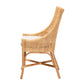 Baxton Studio bali & pari Bella Modern Bohemian Natural Brown Rattan Dining Chair | Dining Chairs | Modishstore - 6