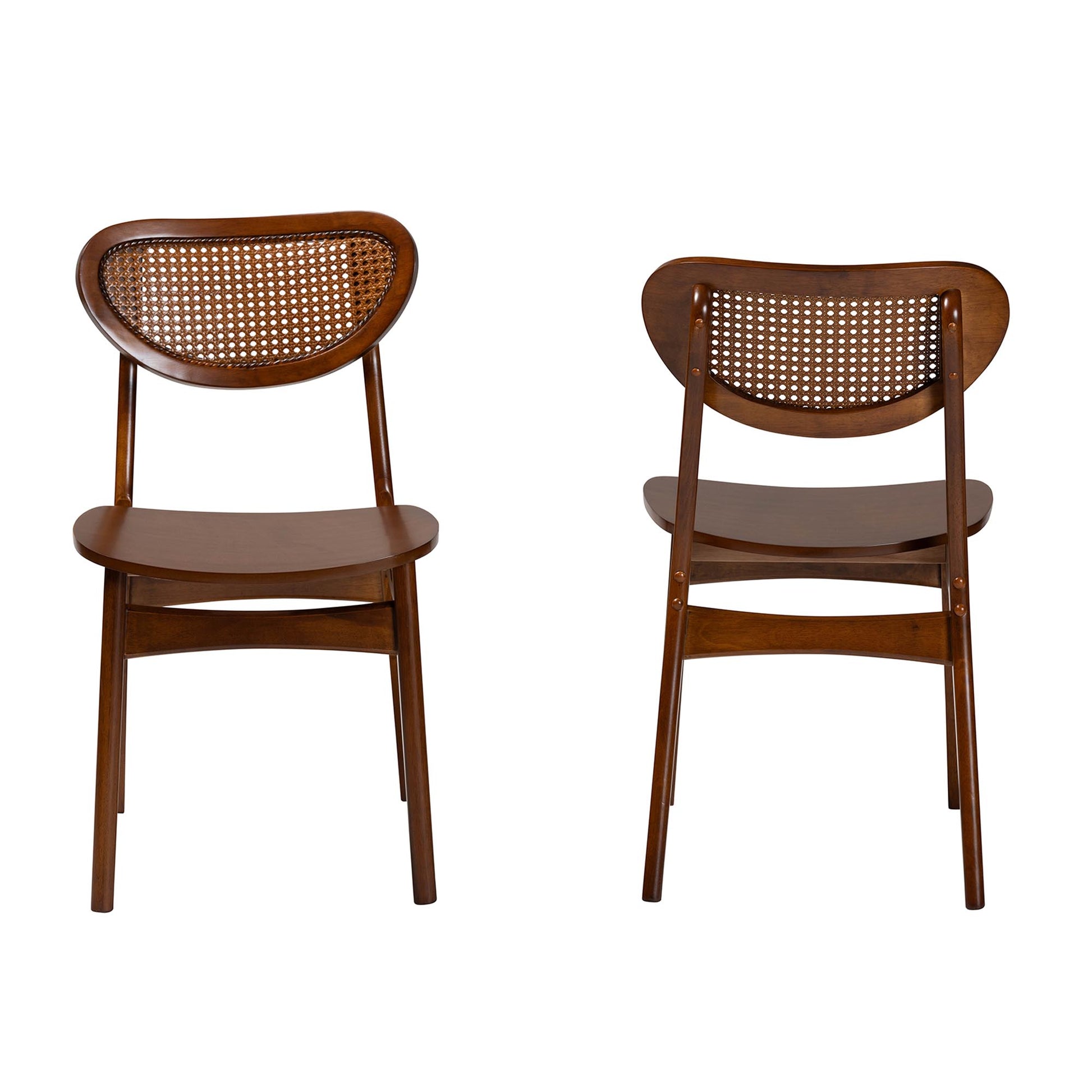 Baxton Studio Hesper Mid-Century Modern Walnut Brown Finished Wood and Rattan 2-Piece Dining Chair Set | Dining Chairs | Modishstore - 3