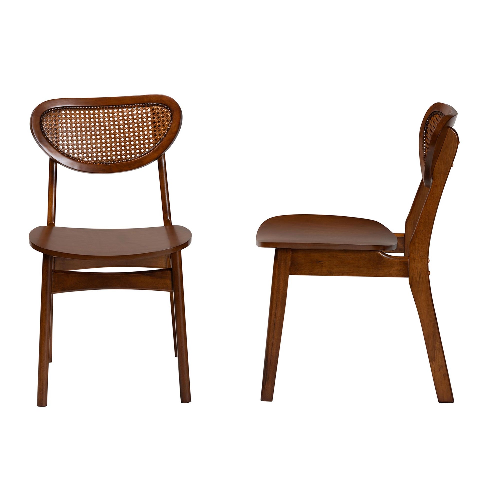 Baxton Studio Hesper Mid-Century Modern Walnut Brown Finished Wood and Rattan 2-Piece Dining Chair Set | Dining Chairs | Modishstore - 4