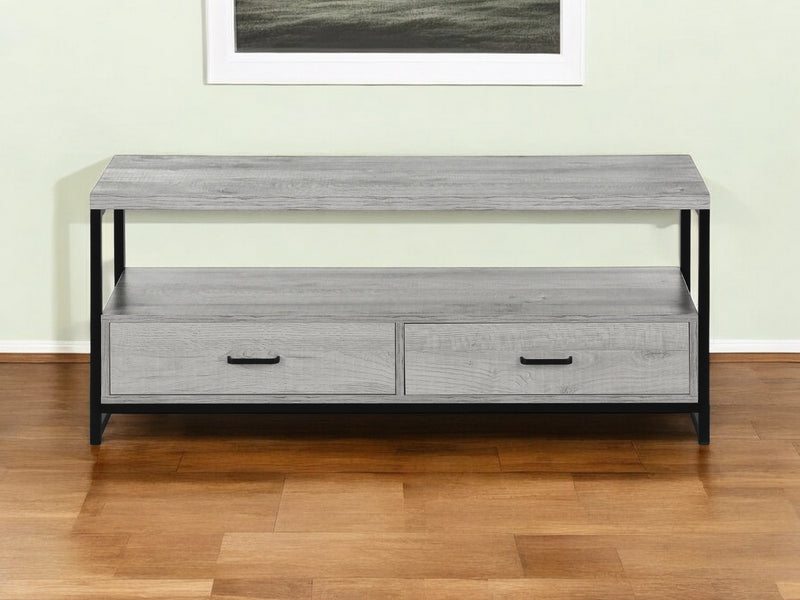 Gray Cabinet Enclosed Storage TV Stand By Homeroots | TV Stands | Modishstore - 1