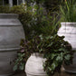 Arlert Pot 15" x 15" By Accent Decor | Planters, Troughs & Cachepots | Modishstore - 1