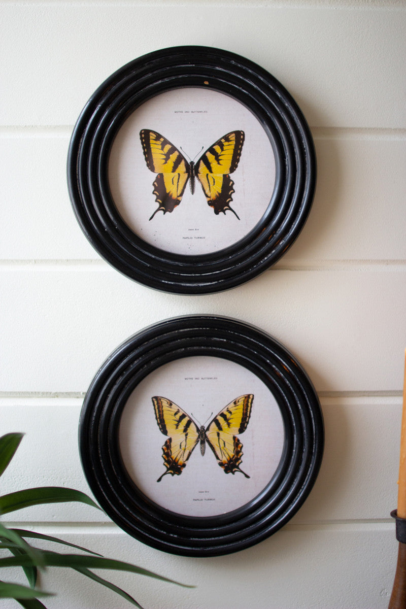 Round Framed Butterfly Prints Under Glass Set Of 4 By Kalalou | Wall Painting | Modishstore - 4