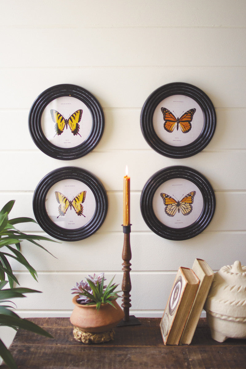 Round Framed Butterfly Prints Under Glass Set Of 4 By Kalalou | Wall Painting | Modishstore