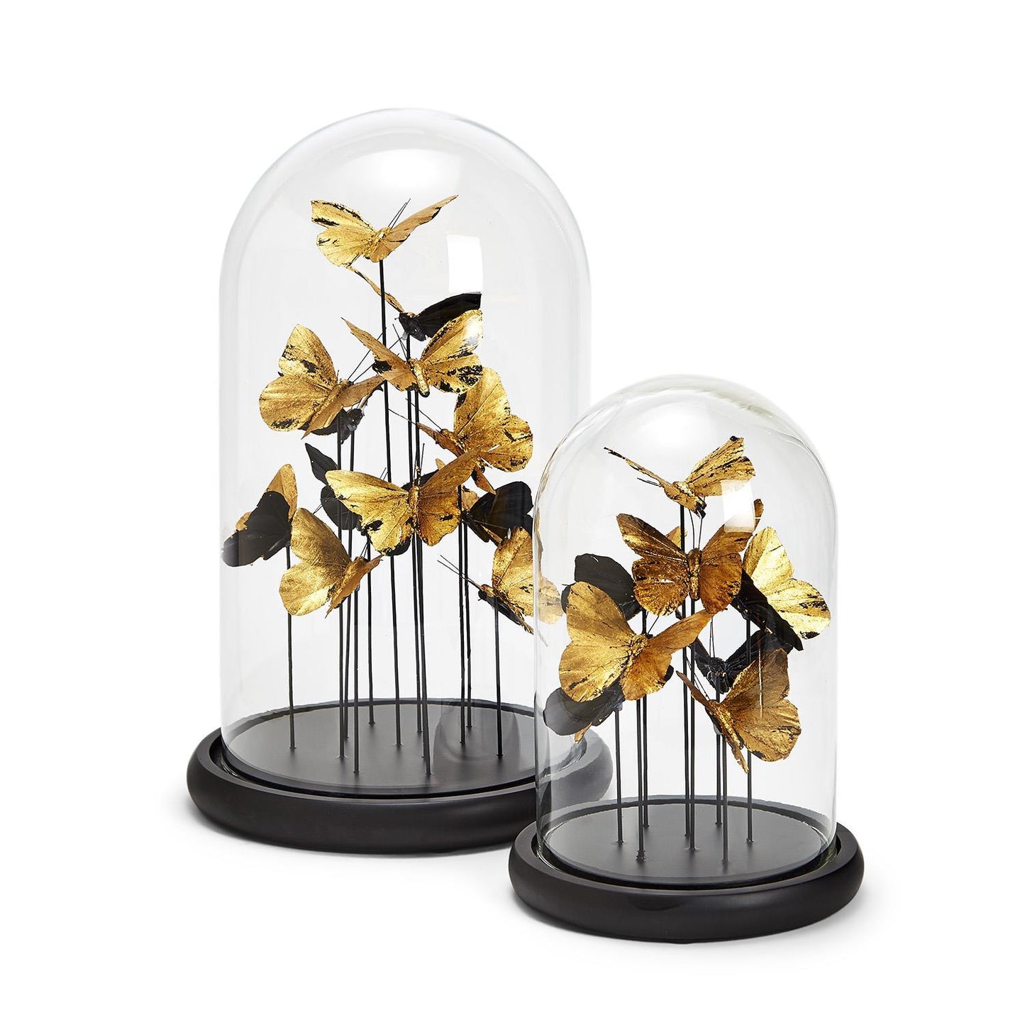 Golden Butterflies in Dome Set Of 4 By Tozai Home | Display Cases | Modishstore - 4