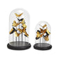 Golden Butterflies in Dome Set Of 4 By Tozai Home | Display Cases | Modishstore - 3