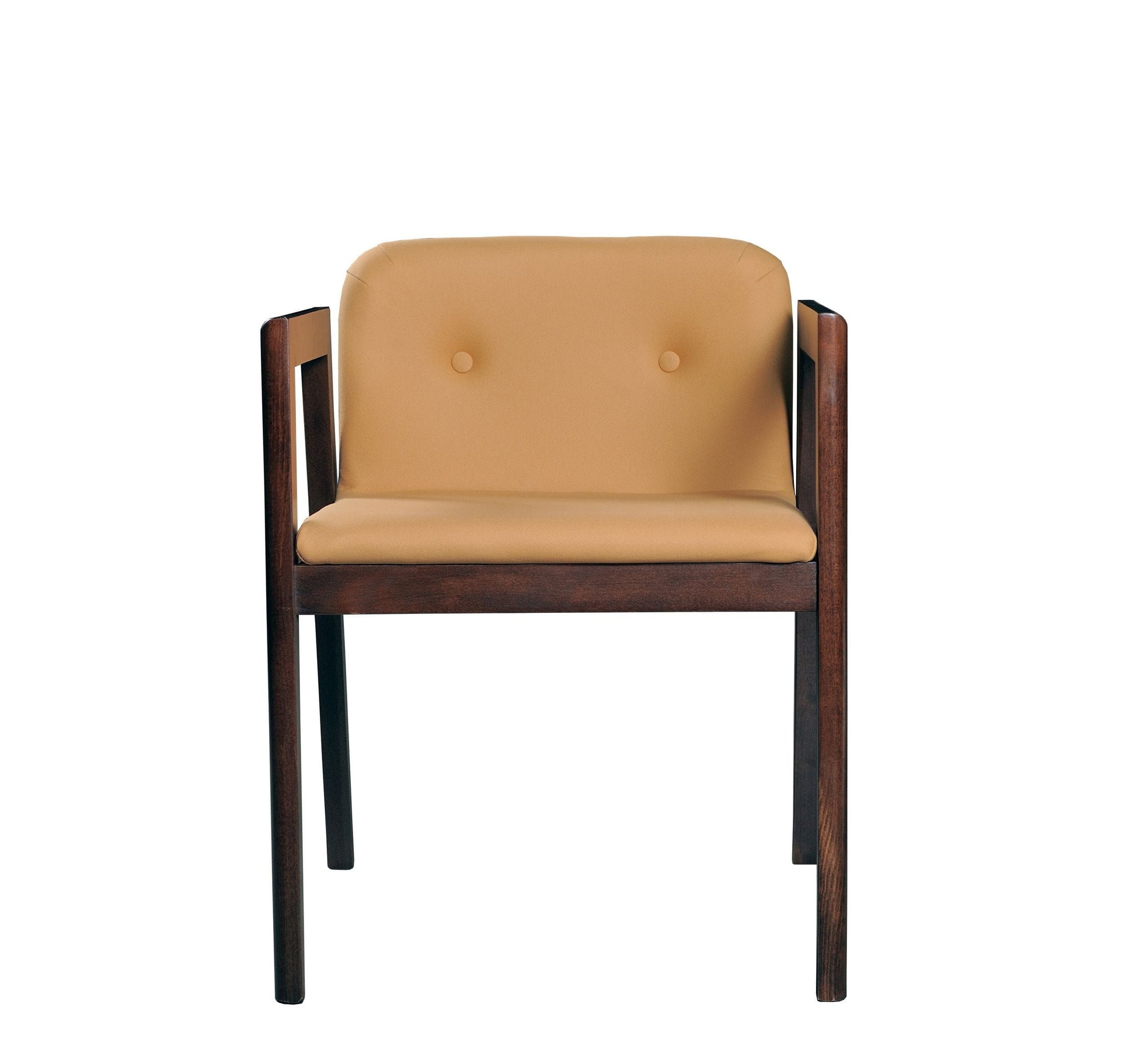 Modrest Avrum - Modern Camel Eco-Leather Dining Chair (Set of 2) | Dining Chairs | Modishstore - 4