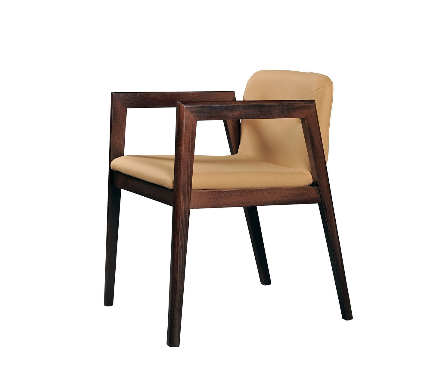 Modrest Avrum - Modern Camel Eco-Leather Dining Chair (Set of 2) | Dining Chairs | Modishstore - 3