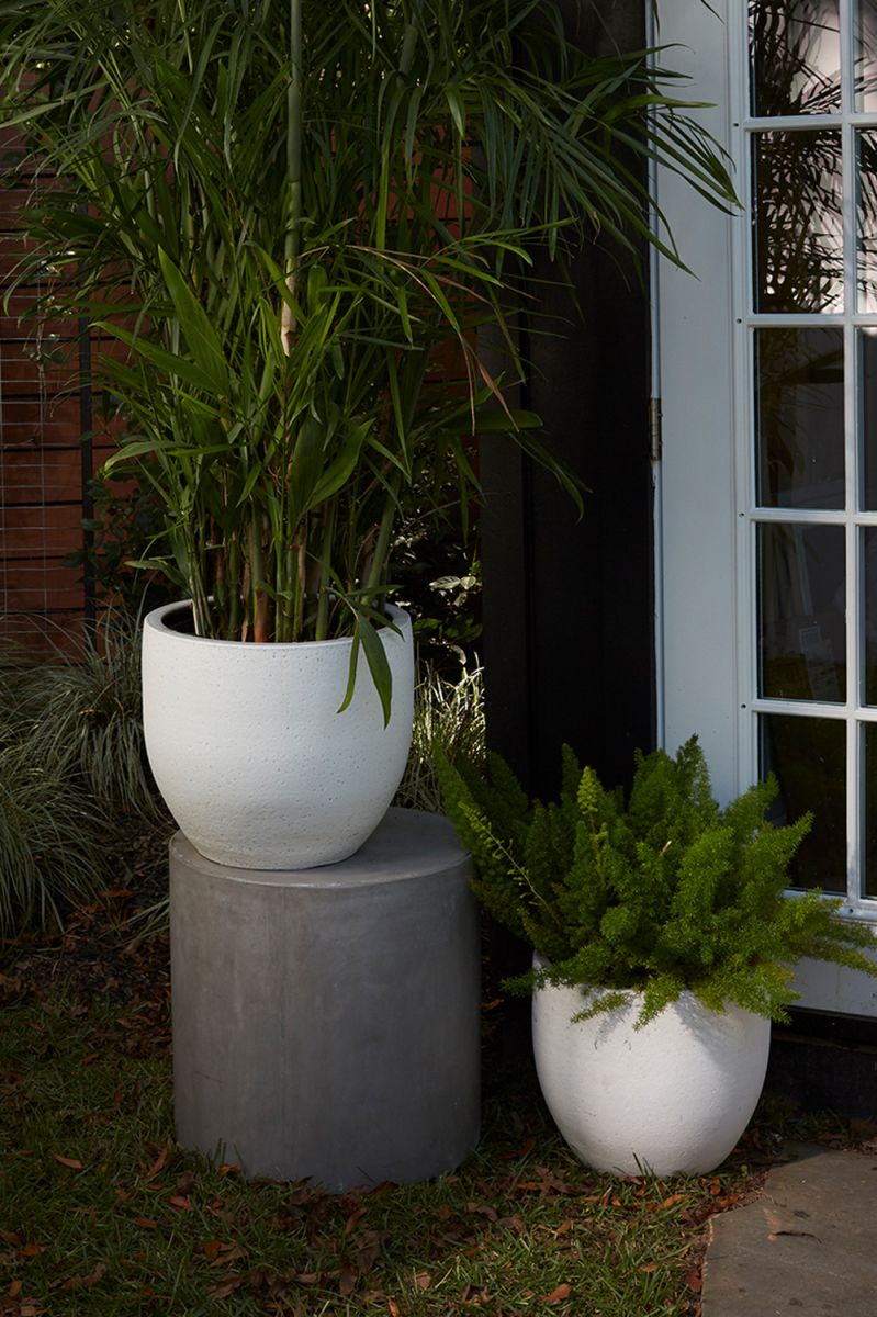 Druid Pot By Accent Decor | Planters, Troughs & Cachepots | Modishstore - 1