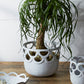Lattice Pot 10"x 8.25" By Accent Decor | Planters, Troughs & Cachepots | Modishstore