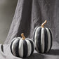 Otho Pumpkin 7.5"x 12.25" By Accent Decor | Decor | Modishstore - 4