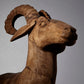 Capra Sculpture | Animals & Pets | Modishstore - 2