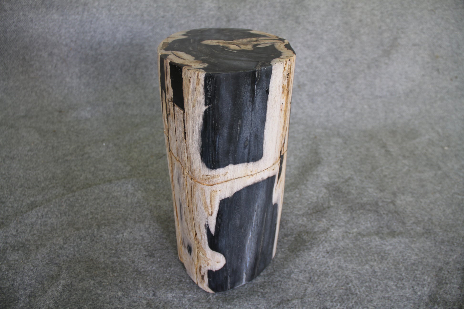 Petrified Wood Log Stool 11in x 8in x 16in (h) - 1687.21 | Petrified Wood Stools | Modishstore-3