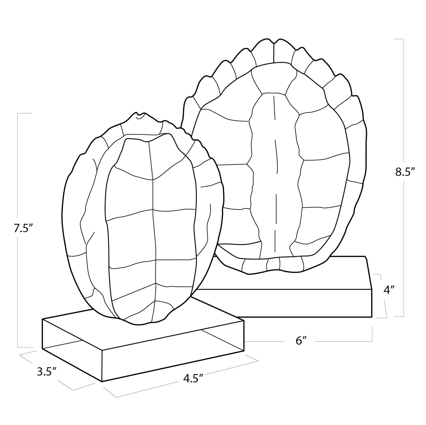 Turtle Shells On Crystal Set Of 2 By Regina Andrew | Sculptures | Modishstore - 8