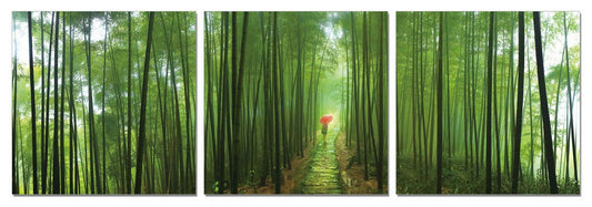 24" Canvas 3 Panels Forest Color Photo By Homeroots | Wall Decor | Modishstore