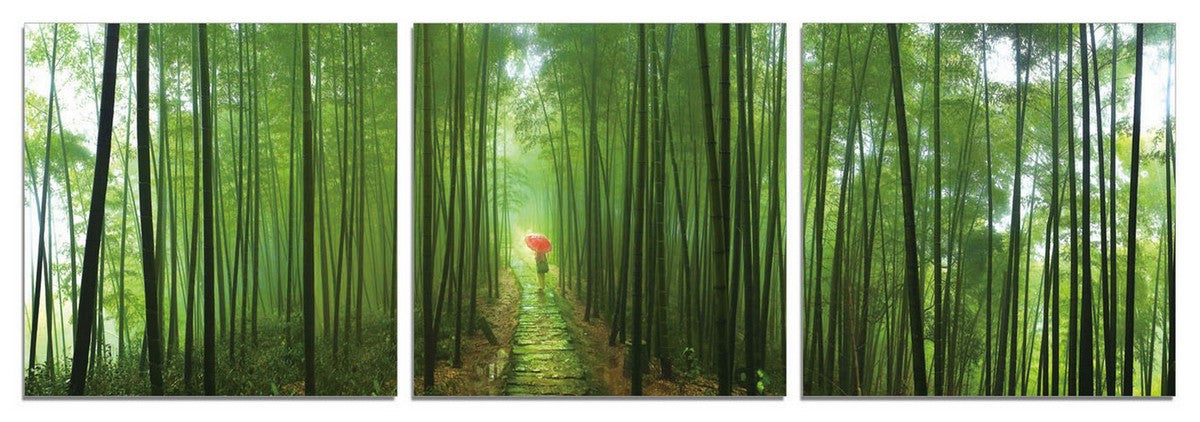 24" Canvas 3 Panels Forest Color Photo By Homeroots | Wall Decor | Modishstore - 3