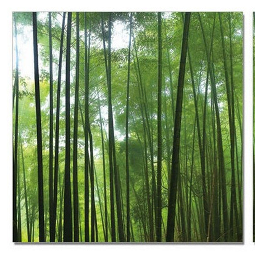 24" Canvas 3 Panels Forest Color Photo By Homeroots | Wall Decor | Modishstore - 4