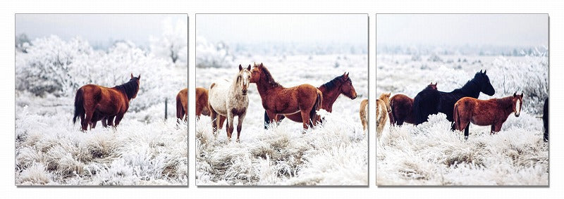 24" Multicolor Canvas 3 Horizontal Panels Horses Photo By Homeroots | Wall Decor | Modishstore