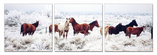 24" Multicolor Canvas 3 Horizontal Panels Horses Photo By Homeroots