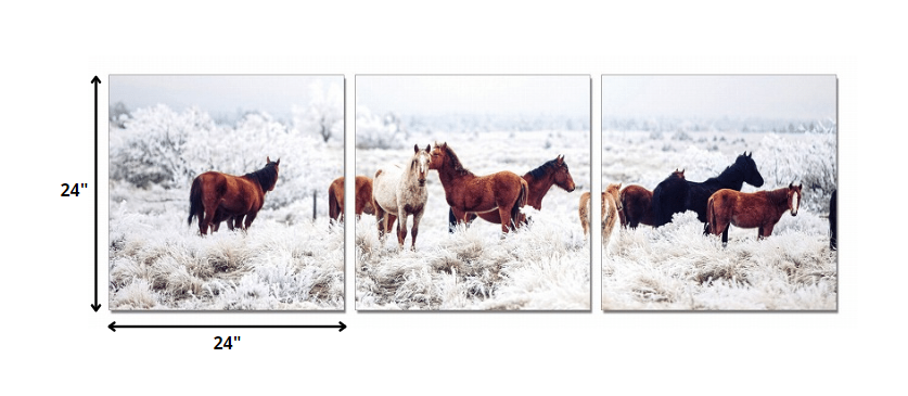 24" Multicolor Canvas 3 Horizontal Panels Horses Photo By Homeroots | Wall Decor | Modishstore - 2