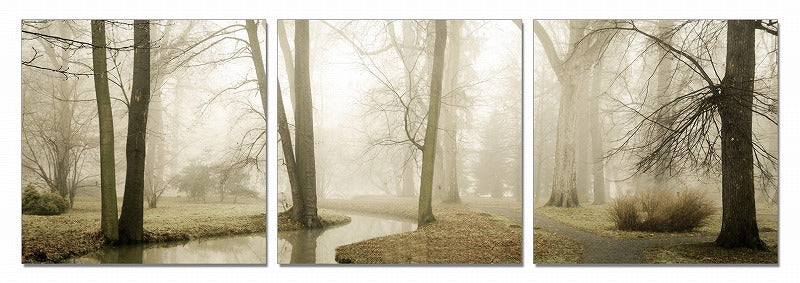 24" Multicolor Canvas 3 Panels Photo By Homeroots - 284011 | Wall Decor | Modishstore