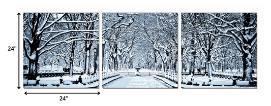 24" Multicolor Canvas 3 Horizontal Panels Winter Trees Photo By Homeroots