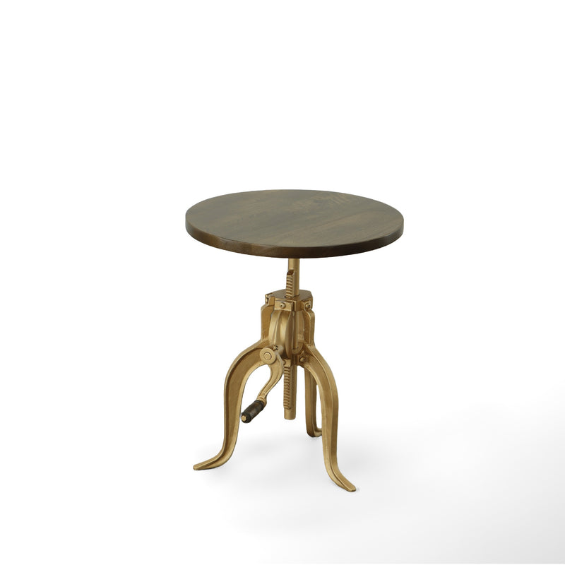 19" Gold And Elm Solid Wood Round End Table By Homeroots | End Tables | Modishstore