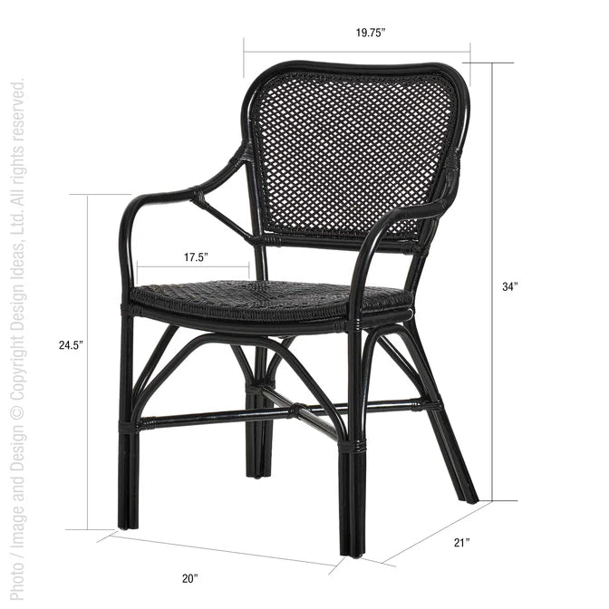 Lanai Chair-Black By Texture Designideas | Accent Chairs | Modishstore - 3