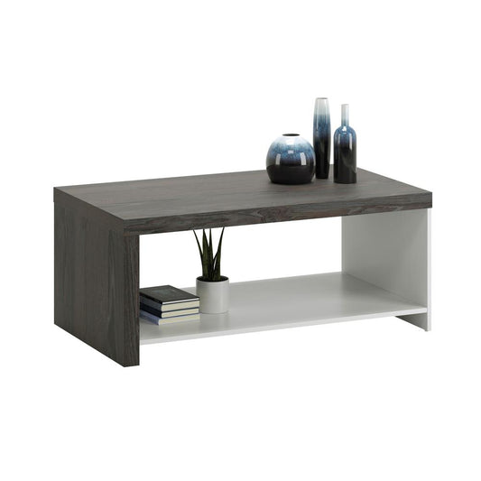 Hudson Court Coffee Table By Sauder | Coffee Tables | Modishstore