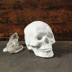 Ceramic Skull - White - Set Of 3 By HomArt