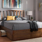 baxton studio brannigan modern and contemporary dark grey fabric upholstered walnut finished king size storage platform bed | Modish Furniture Store-21