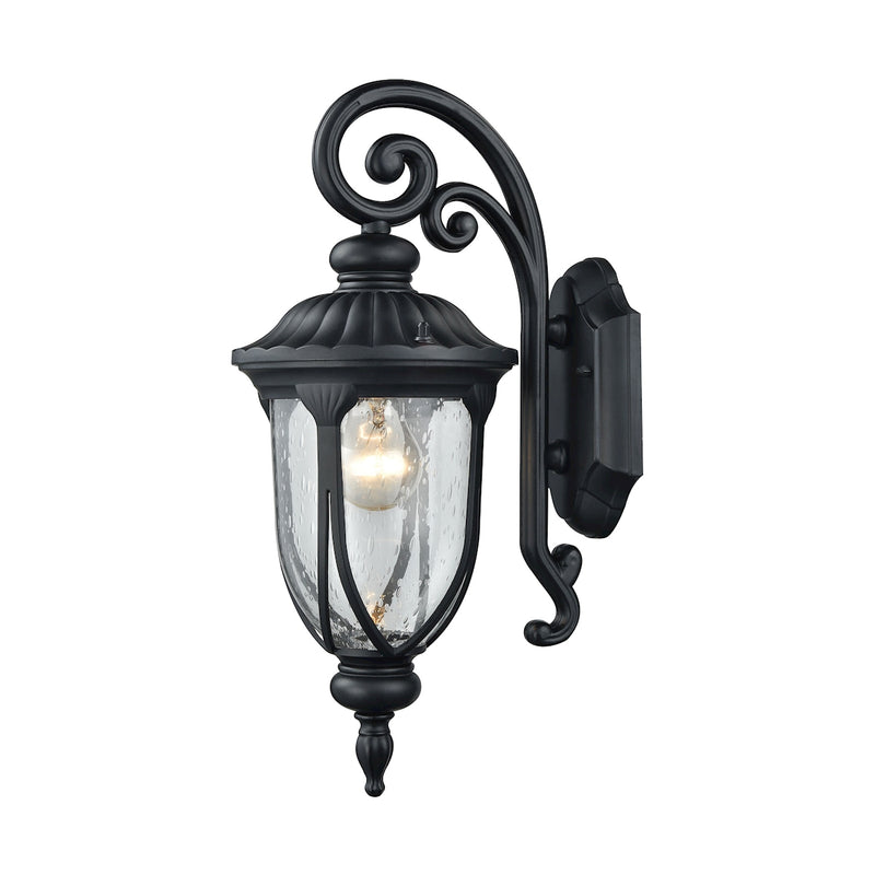 Derry Hill 1-Light Outdoor Wall Lamp in Matte Black ELK Lighting | Wall Lamps | Modishstore