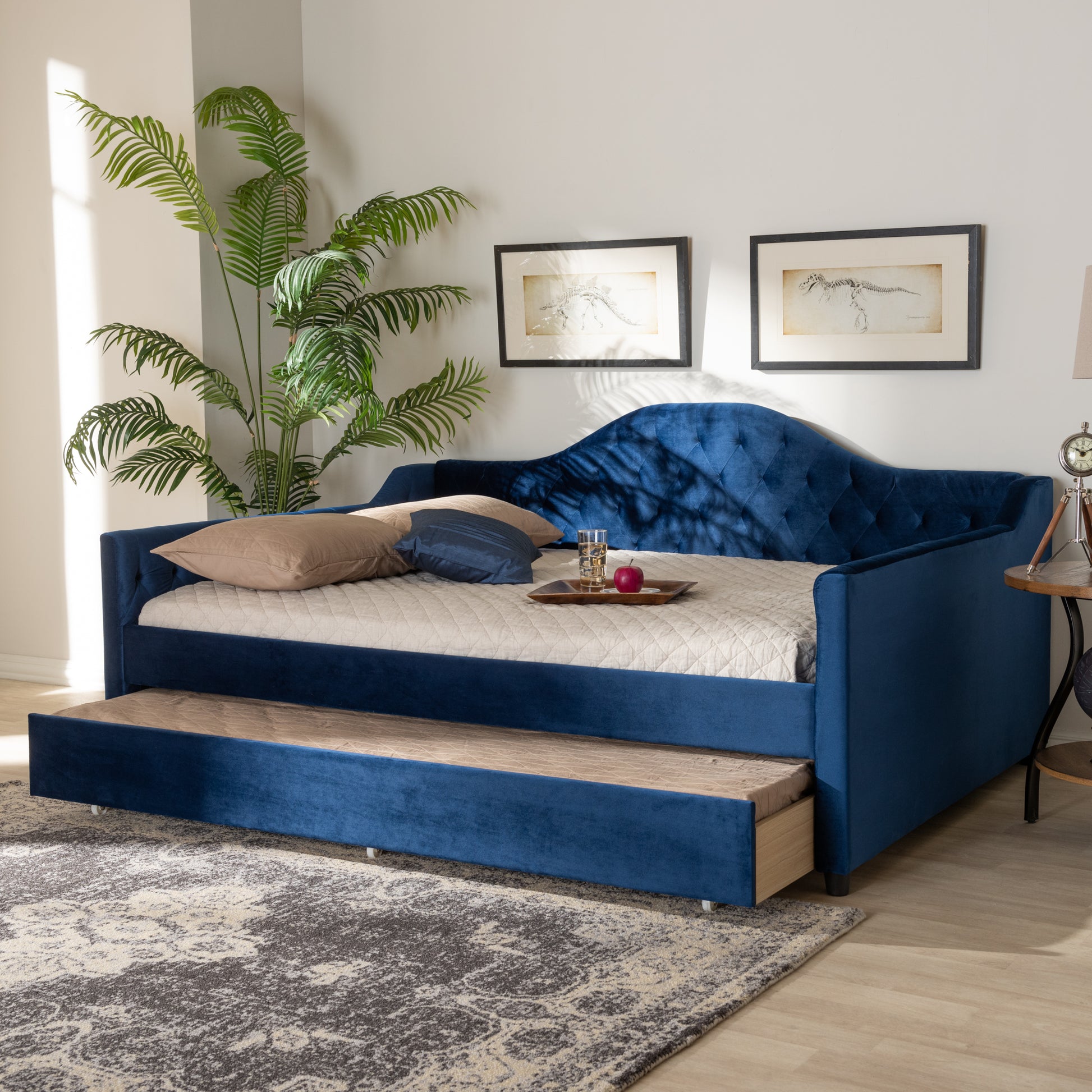 Baxton Studio Perry Modern and Contemporary Royal Blue Velvet Fabric Upholstered and Button Tufted Twin Size Daybed with Trundle | Daybeds | Modishstore - 2