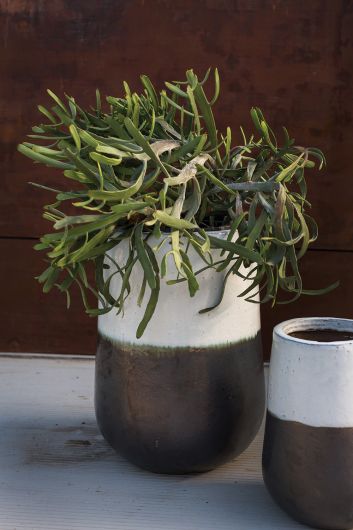 Avalon Two Tone Stoneware Pot By Accent Decor-2 Sizes | Planters, Troughs & Cachepots | Modishstore - 4