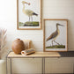 Framed Shorebirds Under Glass Set Of 2 By Kalalou | Wall Decor |  Modishstore 