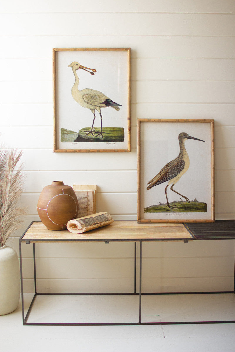 Framed Shorebirds Under Glass Set Of 2 By Kalalou | Wall Decor |  Modishstore 