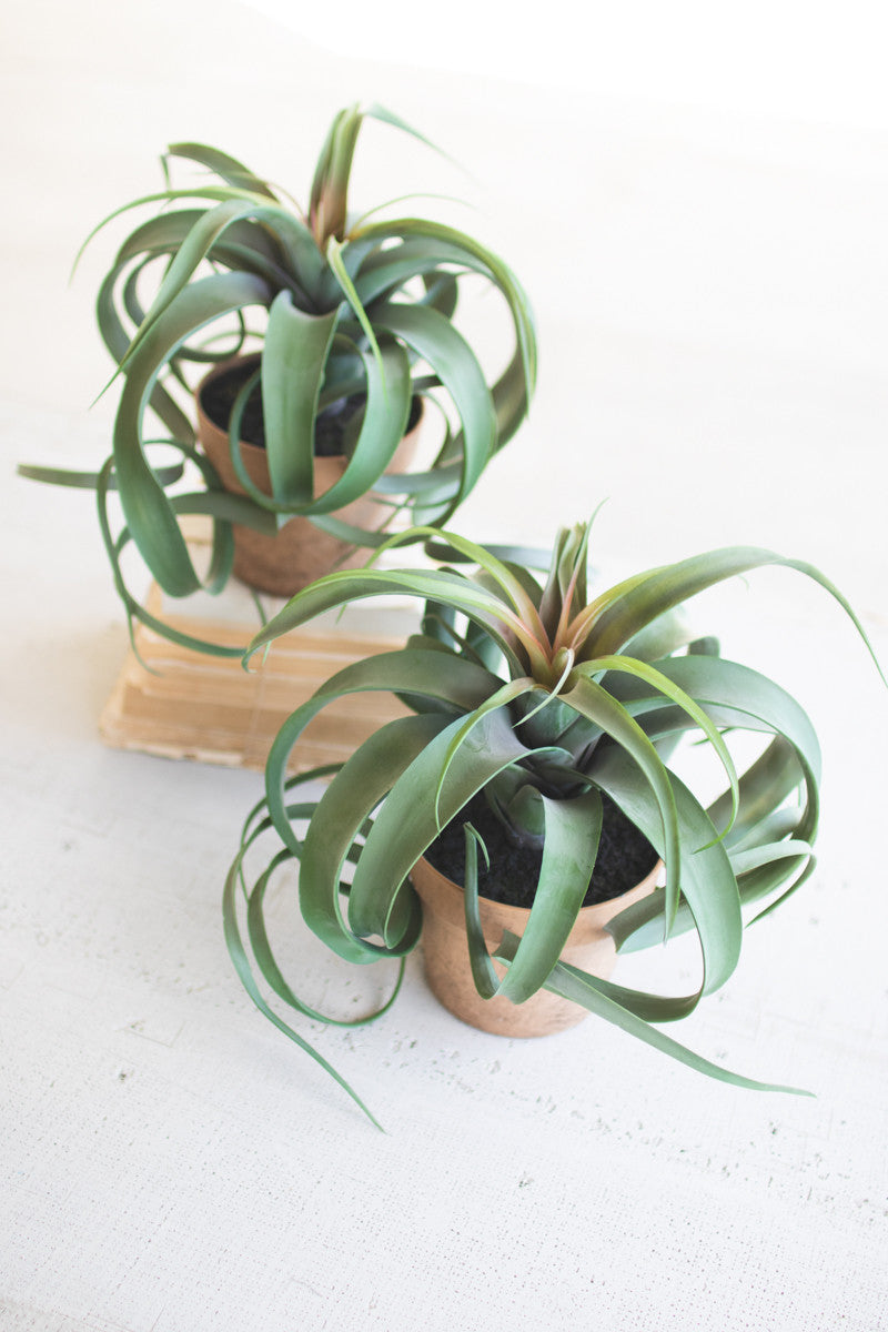 Kalalou Artificial Airplant In A Pot - Set of 2 | Modishstore | Planters, Troughs & Cachepots