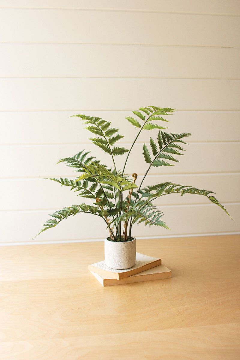 Artificial Fern In A Cement Pot - 28T By Kalalou | Planters, Troughs & Cachepots | Modishstore