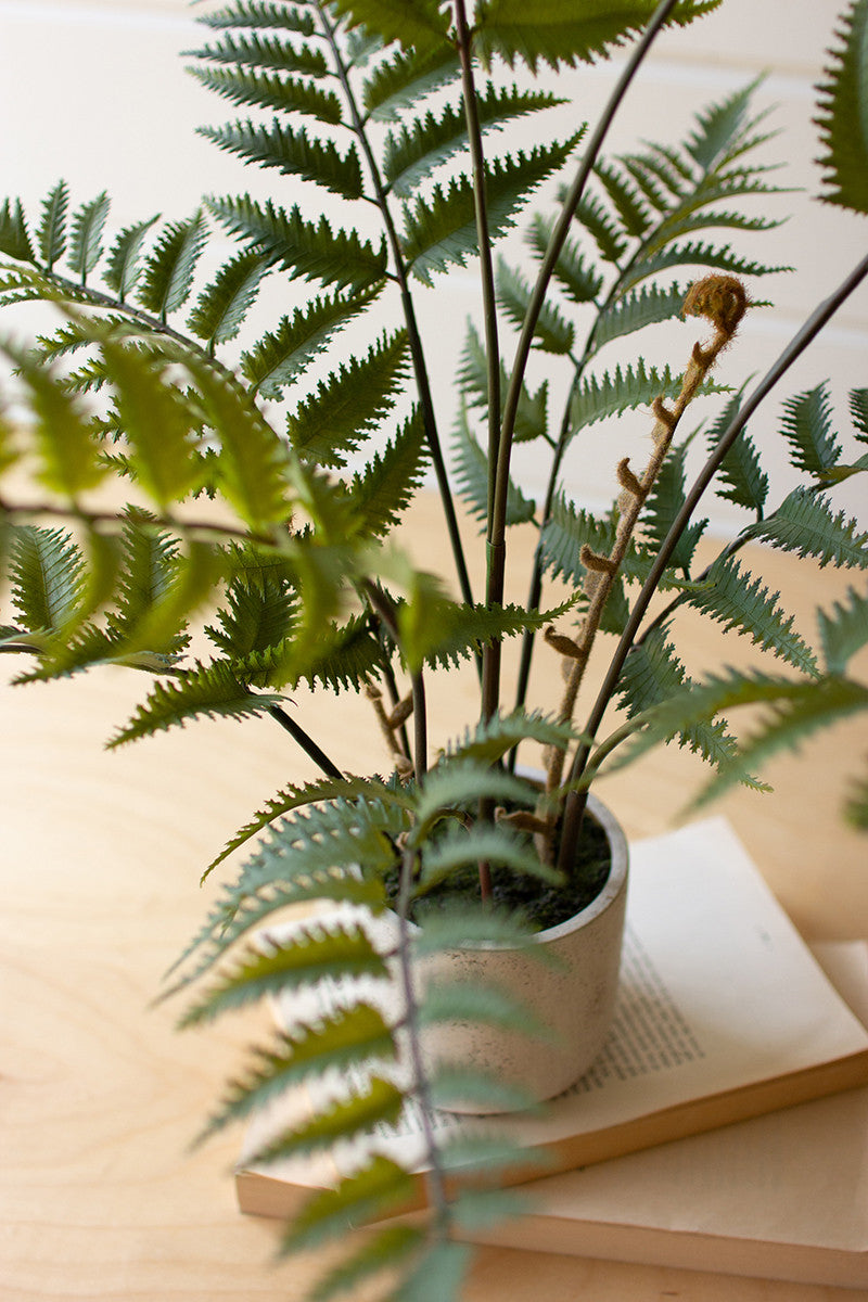 Artificial Fern In A Cement Pot - 28T By Kalalou | Planters, Troughs & Cachepots | Modishstore - 2