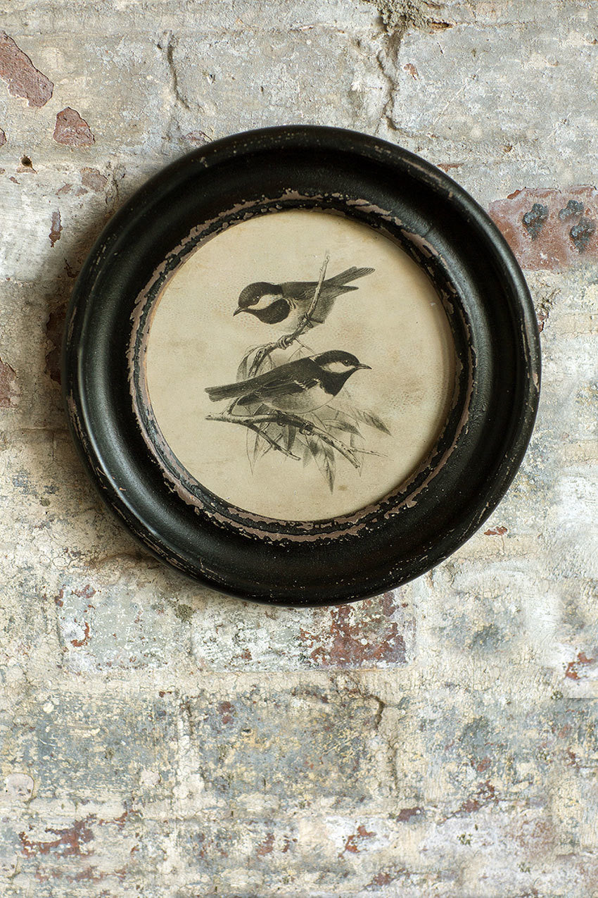 Vagabond Vintage Distressed Wood Framed Vintage Bird Print - III | Modishstore | Wall Decor