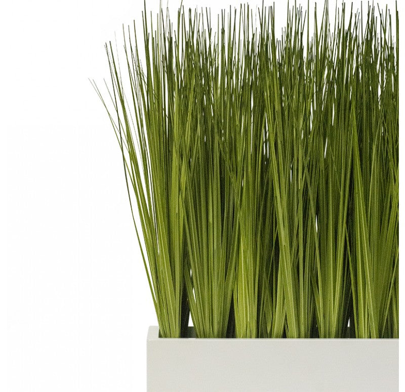 Linear Table Planter with Japanese Grass by Gold Leaf Design Group | Planters, Troughs & Cachepots | Modishstore - 2