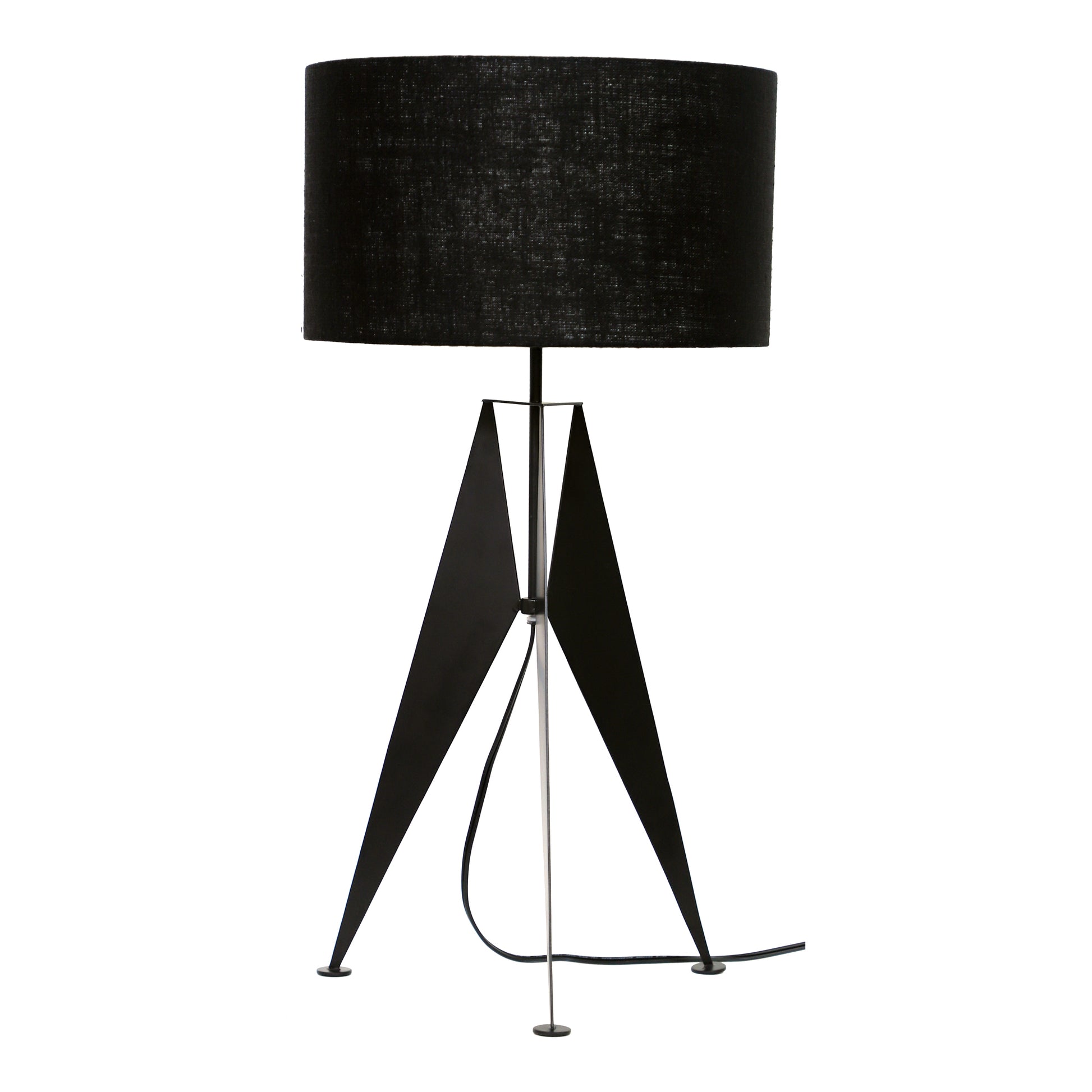 Raven Lamp By Moe's Home Collection | Floor Lamps | Modishstore - 1