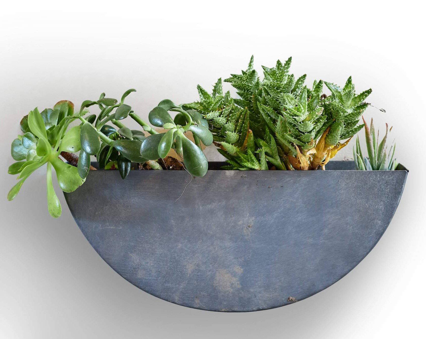 7 Popular Planter Materials to Use Indoors or Outdoors
