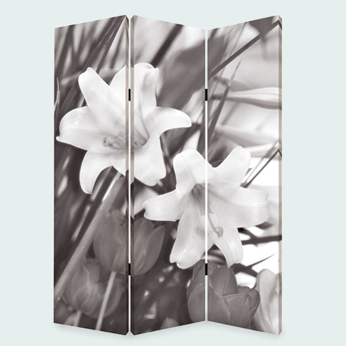 Screen Gems Lilly Screen - SG-133 | Room Divider | Modishstore-2