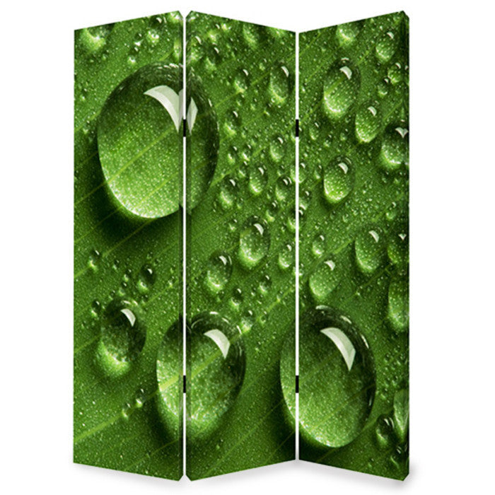 Screen Gems Rain Screen - SG-134 | Room Divider | Modishstore