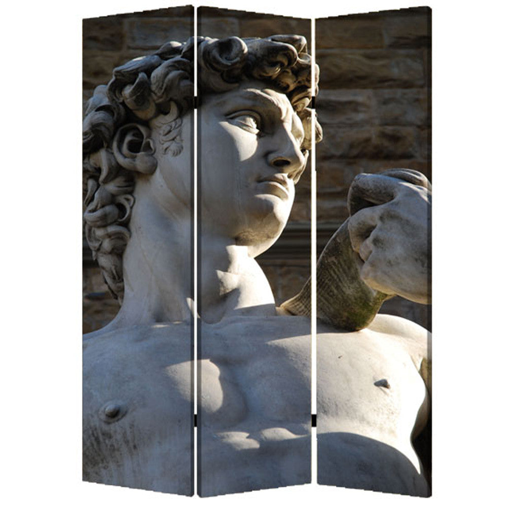 Screen Gems Rome Screen - SG-145 | Room Divider | Modishstore-2